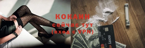 прущие грибы Абаза