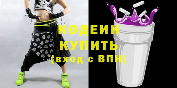 сатива Лабытнанги