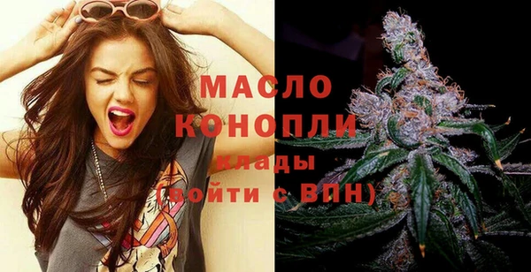 сатива Лабытнанги