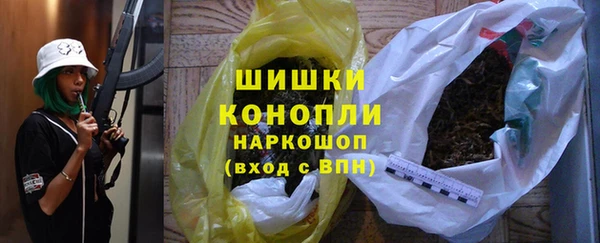 прущие грибы Абаза