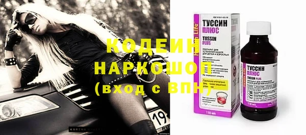 прущие грибы Абаза