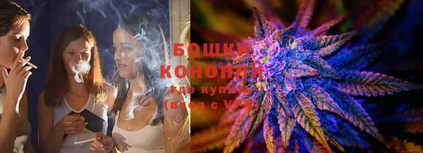 сатива Лабытнанги