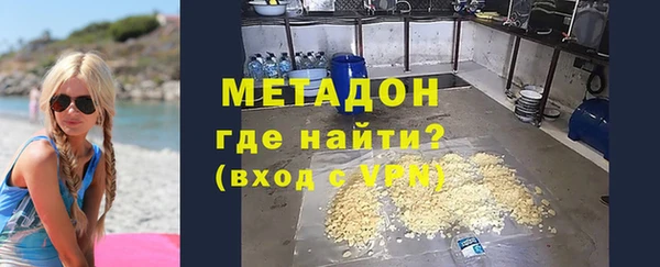 прущие грибы Абаза