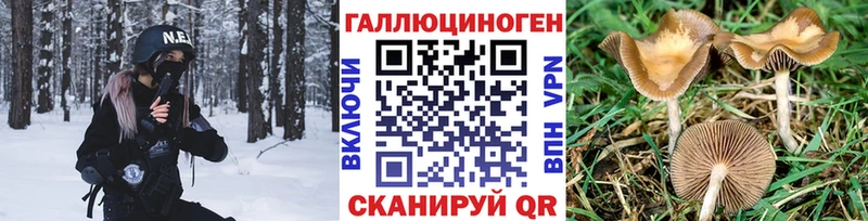 Галлюциногенные грибы Cubensis Новая Усмань